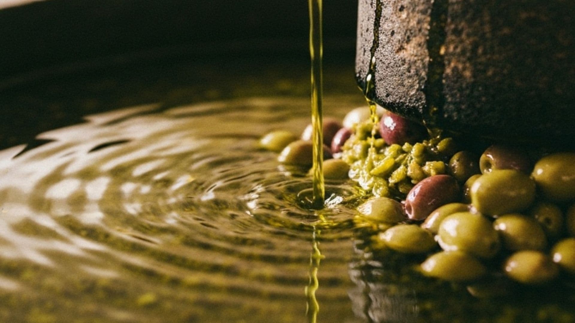 Green-gold olive oil streaming from a stone press into a pool with fresh olives.